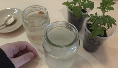 validol dosed water yields tomatoes