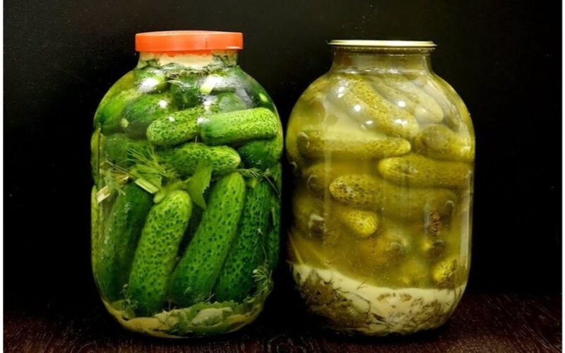 balta plėvelė ant agurkų