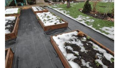 winter dacha first month checks