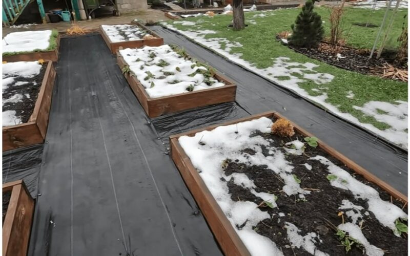 winter dacha first month checks