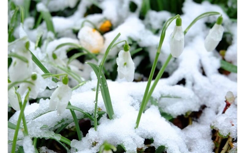 winter prep summer reward