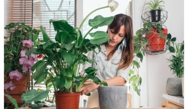 pridėtas centas sukėlė šiltnamio efektą