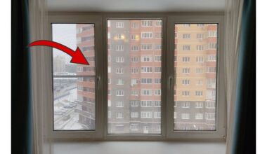 metinis lango tarpiklio tepimas