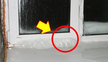 sugedusio lango vėjo užuolaidos sustabdymo triukas