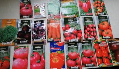 nupirkau sėklas prarasta sezonas