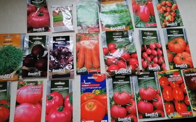 nupirkau sėklas prarasta sezonas