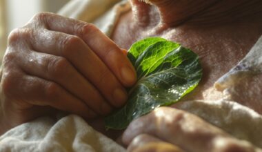 kopūstų lapai ant krūtinės