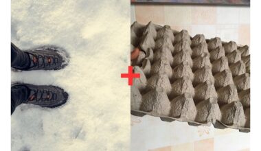 kartoninė kiaušinių dėžutė batų džiovintuvas