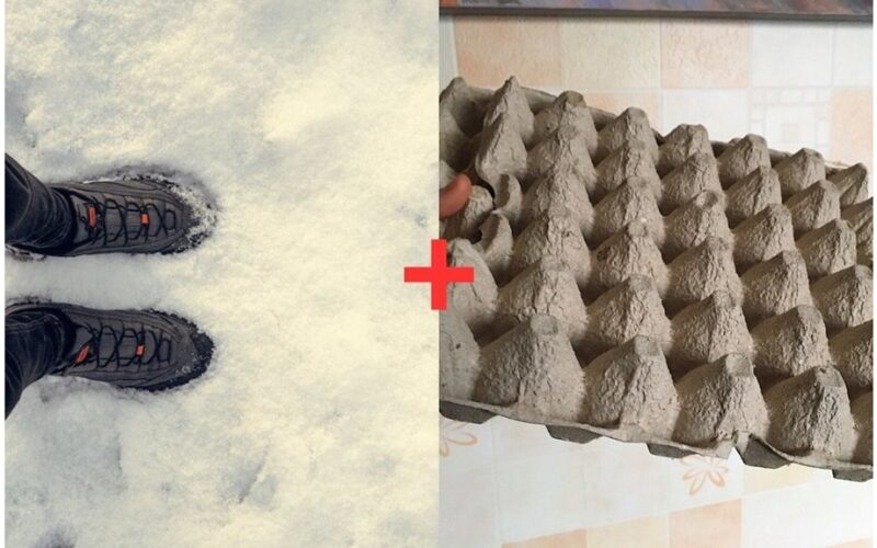 kartoninė kiaušinių dėžutė batų džiovintuvas