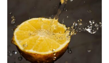 sumaniai išsaugant citrinos likučius