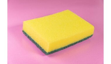 pjaustykite kempines per pusę