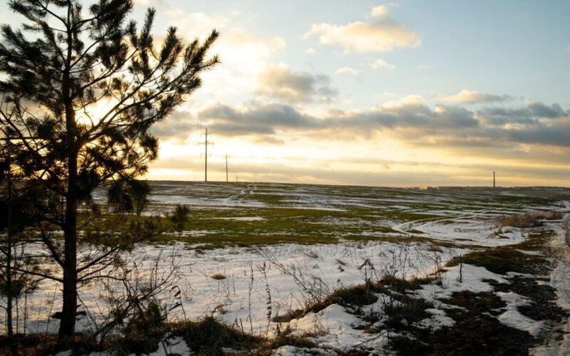 patyręs agronomas s sausio šėrimas