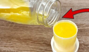 skalbyklos minkštiklis namų gudrybės