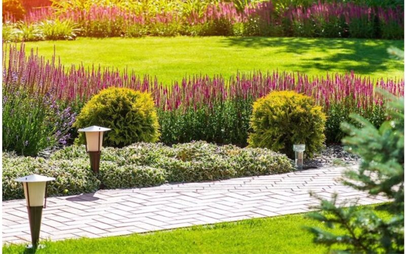 keturios daugiametės gėlės tvoroms