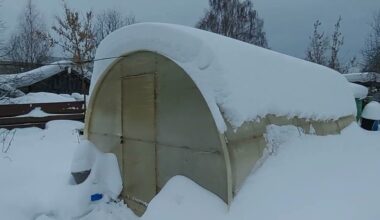 vaisių kekės nenukrito