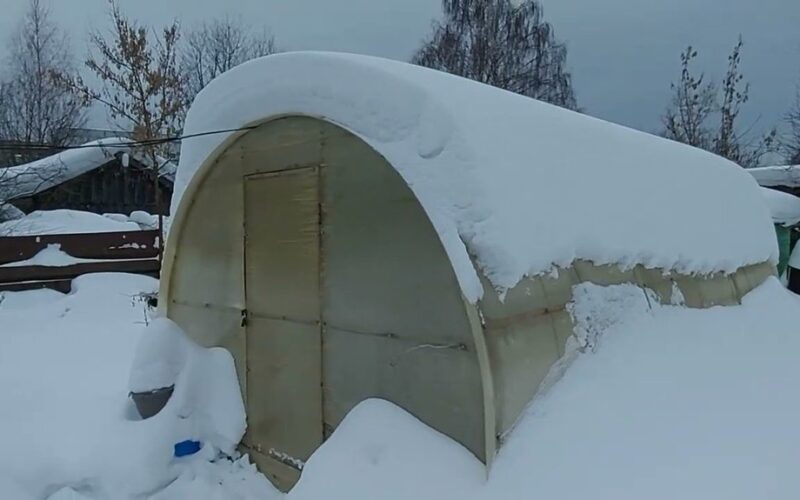 vaisių kekės nenukrito