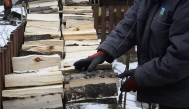 senelio drėgnas malkų žiebtuvėlis