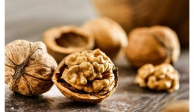 senelis išsaugojo riešuto lukštą