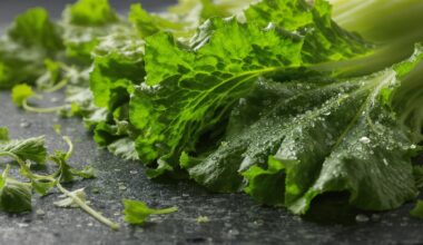 žalias daržovė valo organus