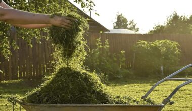 žalias mielių fermentacijos trąšas