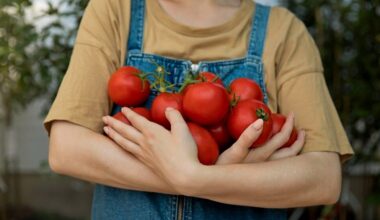 namų gamybos migdolų trąša dvigubina pomidorus