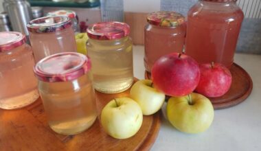 homemade canned zhyvchyk replica