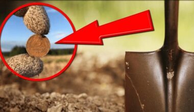 Aš palaidavau pinigus miestelyje