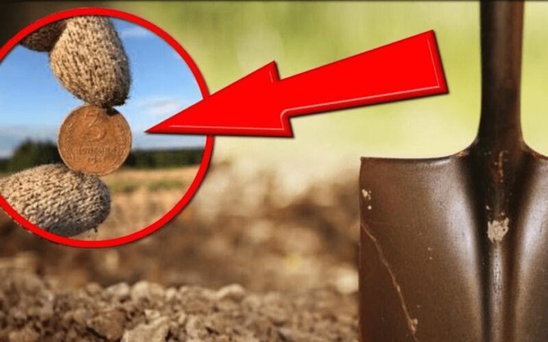 Aš palaidavau pinigus miestelyje