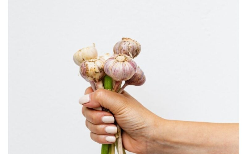 Aš neteisingai tręšiau česnaką