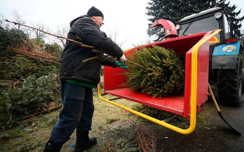 Aš niekada neišmetu kalėdinių eglučių