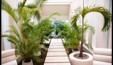 vidiniai palmės sukuria džiunglių nuotaiką