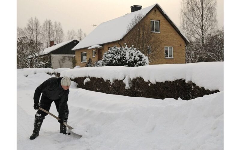 sausio sodininkystės darbų sąrašas