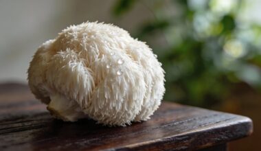 liūto karčiai atstato nervus