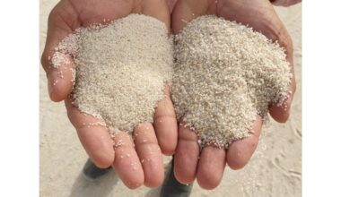 maža smėlio turtinga dirva