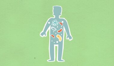 metabolic shift weakens cells