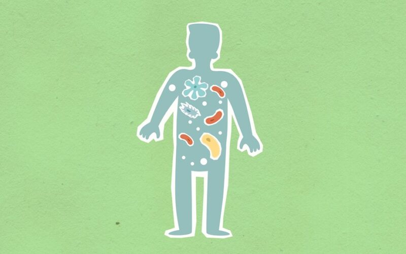 metabolic shift weakens cells