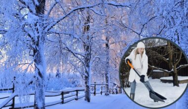 sniego laikymo metodai