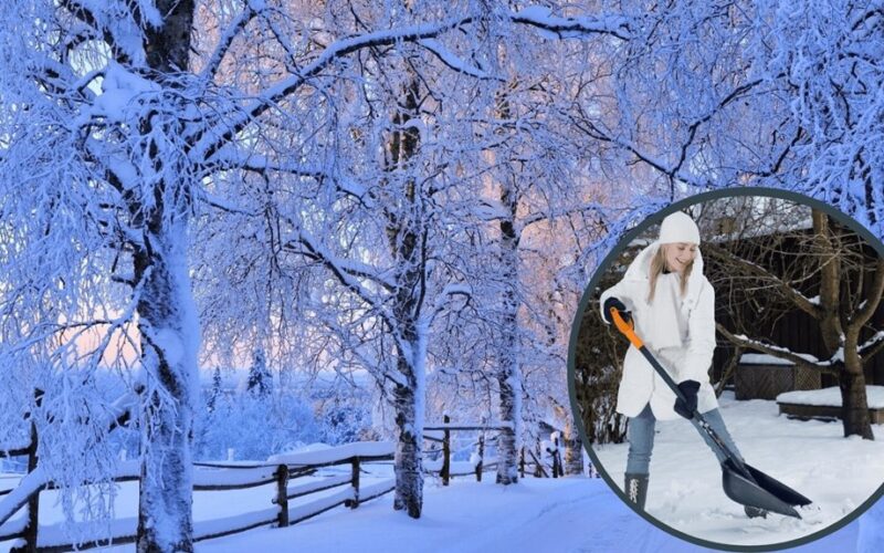 sniego laikymo metodai