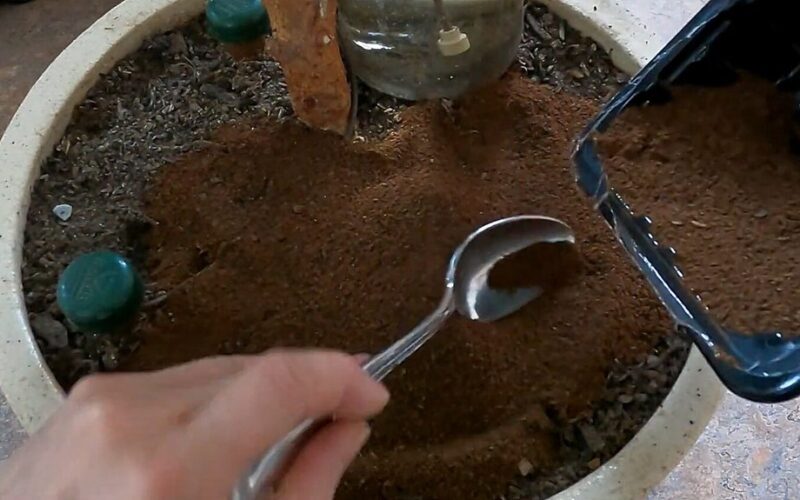 mano penkios sodo gudrybės