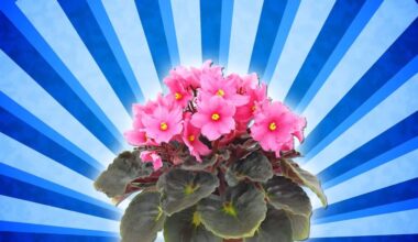 kaimynas sugriebia mano ranką