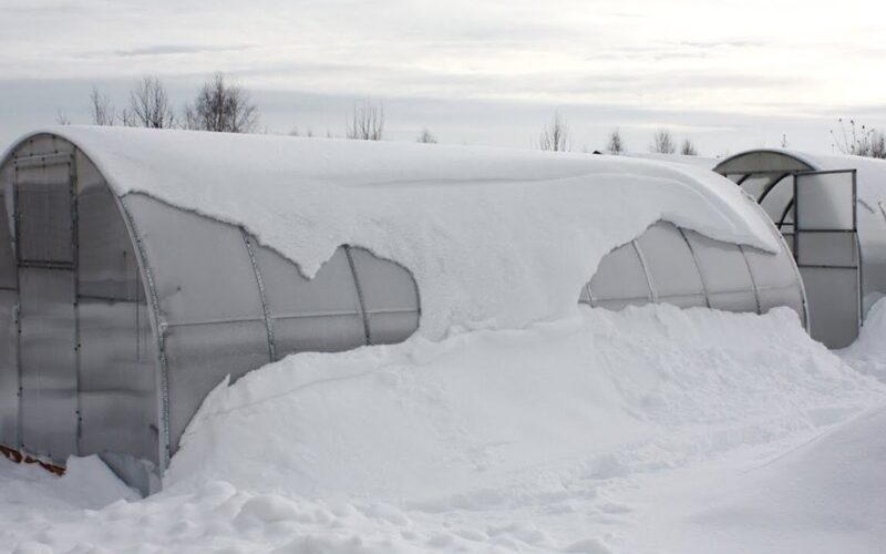 kaimynai kastuvas aš sklaidoju