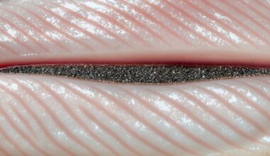 niekada nevalgykite šios žuvies dalies