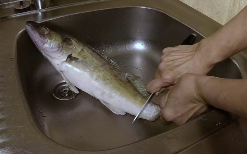 no knife five minute fish cleaning
