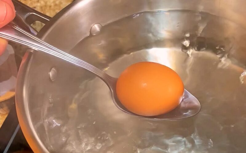 ne daugiau trūkusių kiaušinių