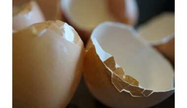 ne visi augalai reaguoja