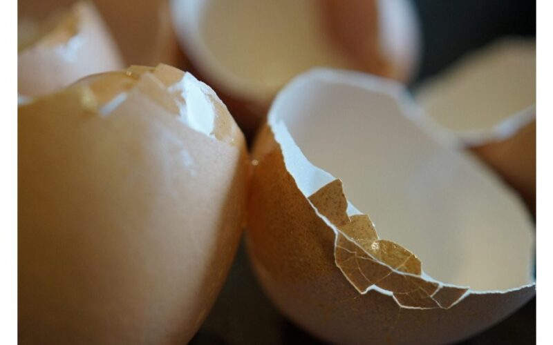 ne visi augalai reaguoja