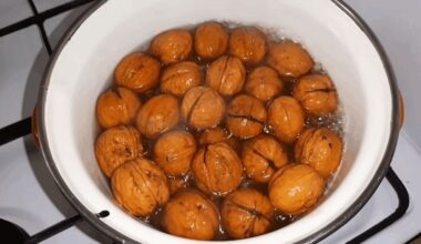 riekelių luptuvė greita drugelio panaši