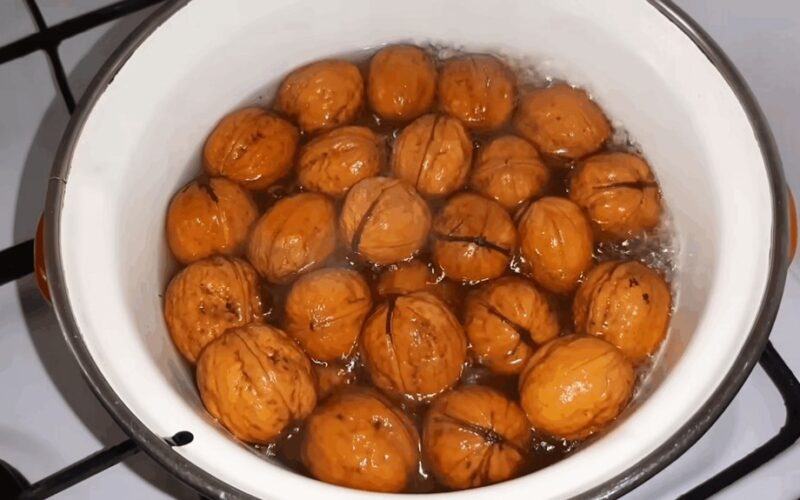 riekelių luptuvė greita drugelio panaši