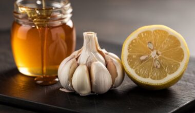 senas trijų ingredientų natūralus antibiotikas