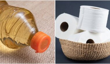 šlapinimasis ant tualetinio popieriaus